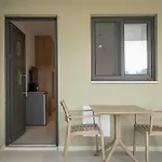 Sokol Stone House 招待所 3*